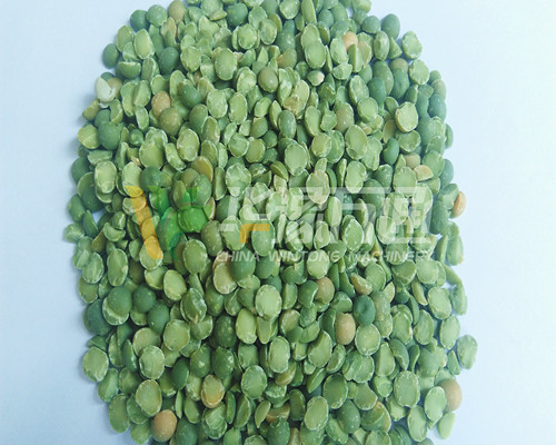 <a href=http://www.5dcampus.cn/product/8/ target=_blank class=infotextkey>豌豆脫皮機</a>