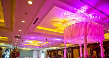 唯諾婚禮 一站式專業婚慶服務，打造您夢想中的完美慶典